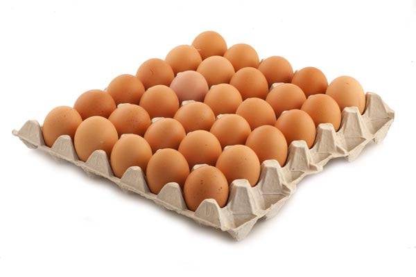 普通新鲜鸡蛋 180pz • Uova Fresche 整箱
